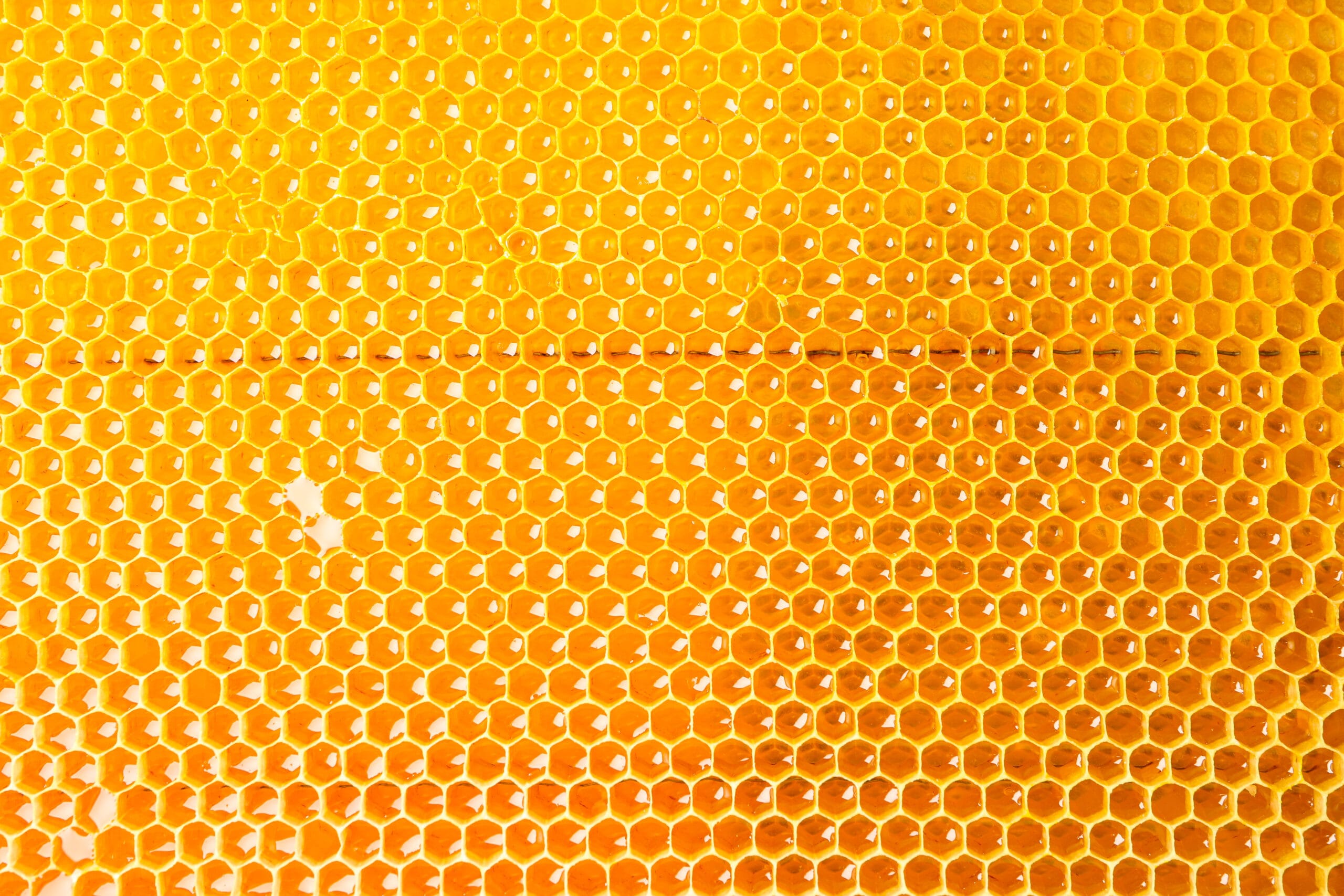 honeycomb