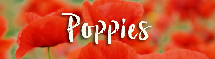 Poppy_GardeningSXH
