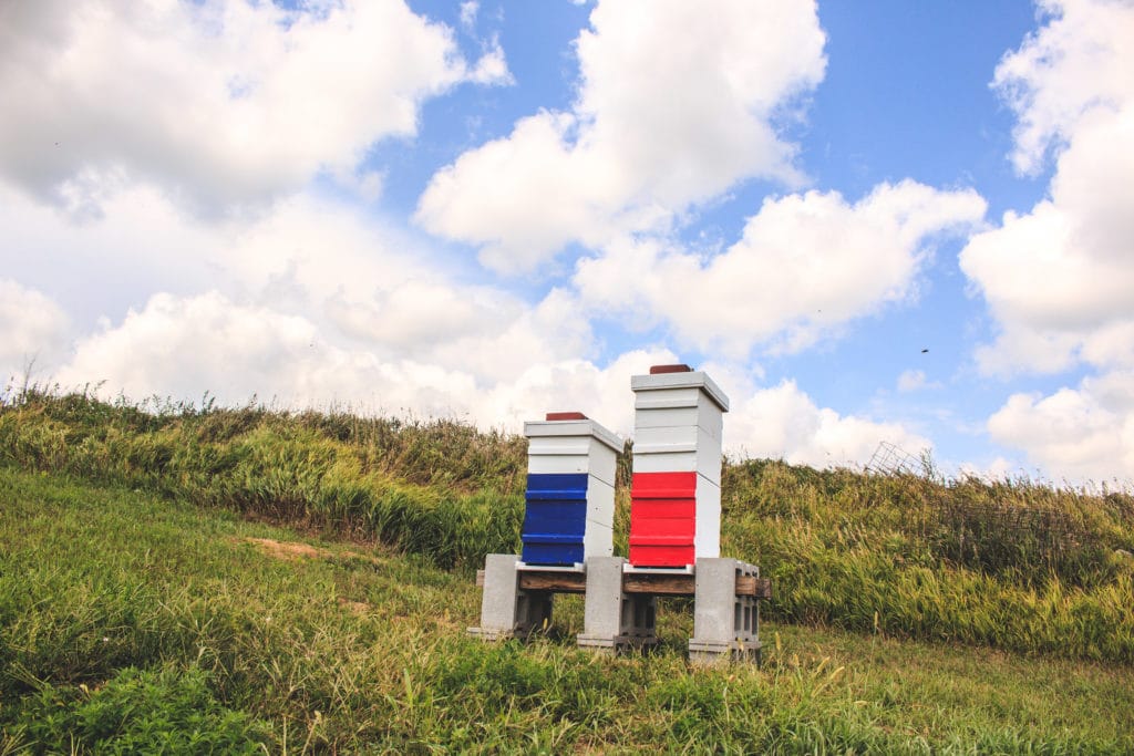 Beehives painted red, white and blue
