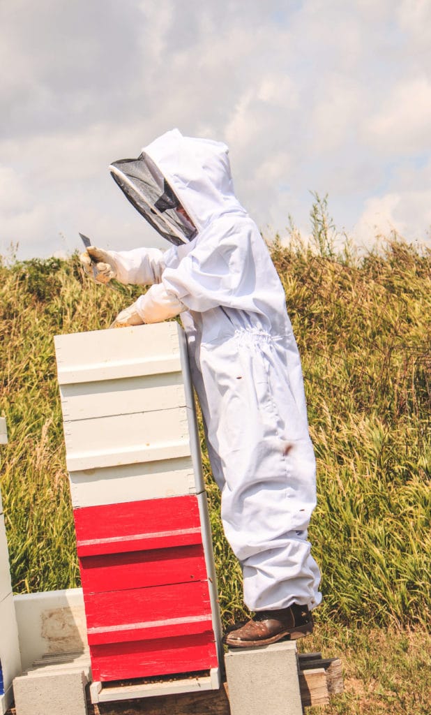 Tucker Olsen, 11-year-old beekeeper