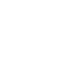 smart